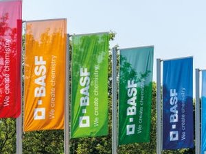 Teaser_D21_008_BASF_Flags