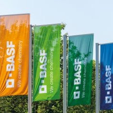 Teaser_D21_008_BASF_Flags