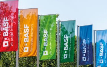 Teaser_D21_008_BASF_Flags