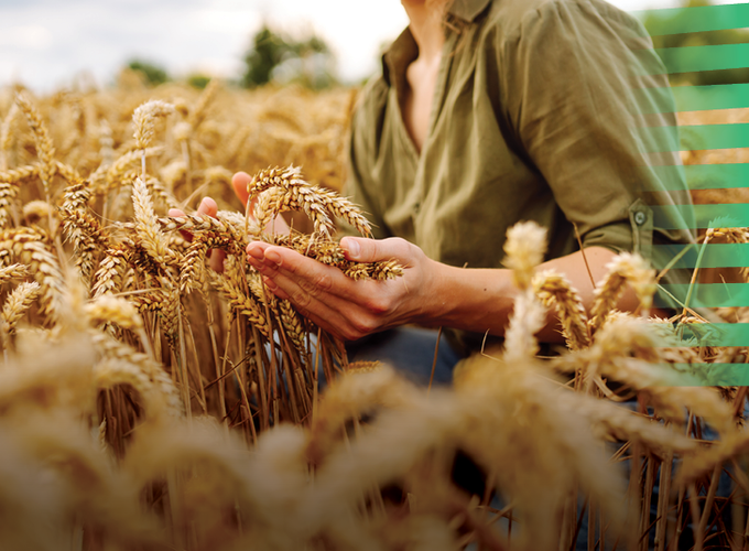 agri-vision-3_600x400px