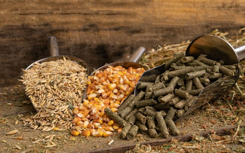 animal-feed-variety-with-oats-corn-and-pellets-2025-02-10-07-19-48-utc-1024x683