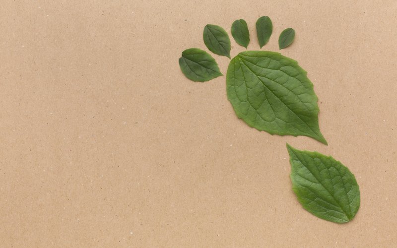 copy-space-leaves-collection