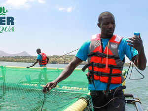 Aller Aqua partners with Kenyan fish farmer to supply feed in the region
