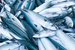 mackerel_shutterstock_1674010870