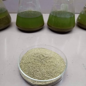 upv-cfos-seaweed-based-feed-supplement-enhances-profitability1
